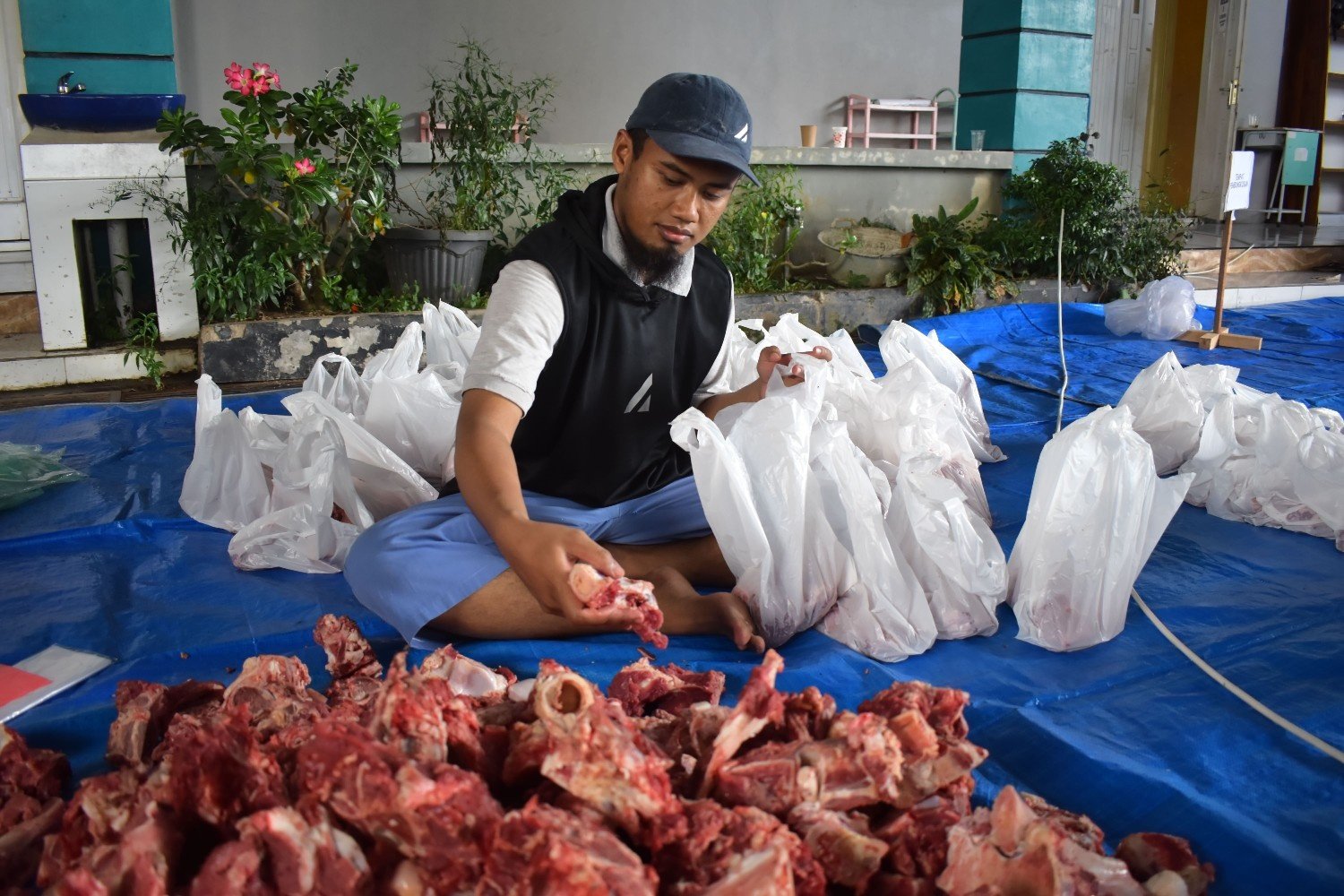 Semarak Idul Adha 1447 H: Yayasan An-Naba Salurkan Daging Qurban Berkualitas hingga ke Pelosok Daerah